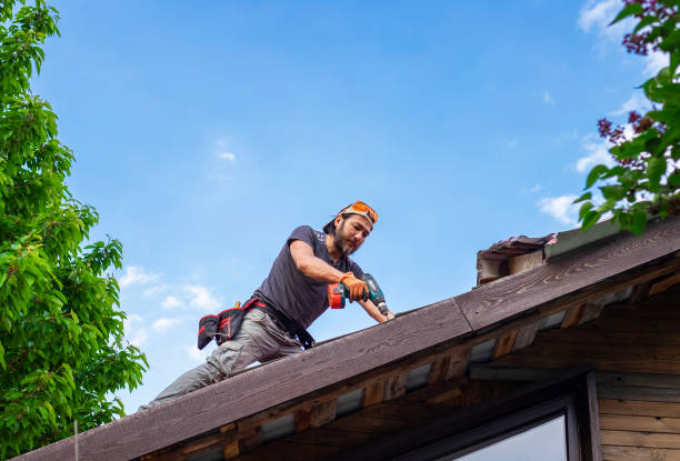 Best Metal Roofing Installation  in Scottville, MI