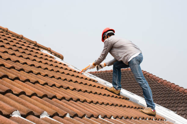 Best Roof Coating and Sealing  in Scottville, MI